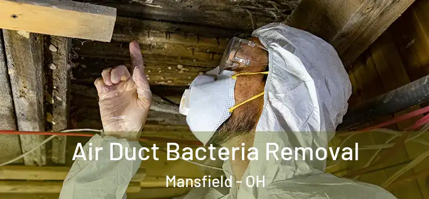 Air Duct Bacteria Removal Mansfield - OH