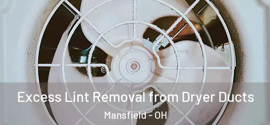  Excess Lint Removal from Dryer Ducts Mansfield - OH