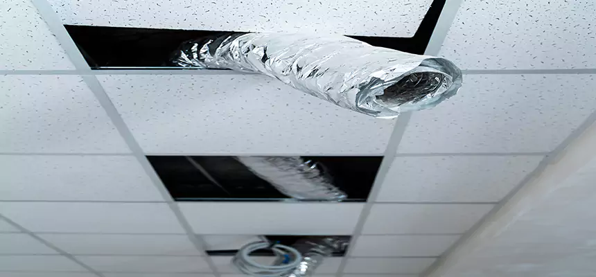 Our Air Duct Pet Hair Removal Services in Mansfield, OH