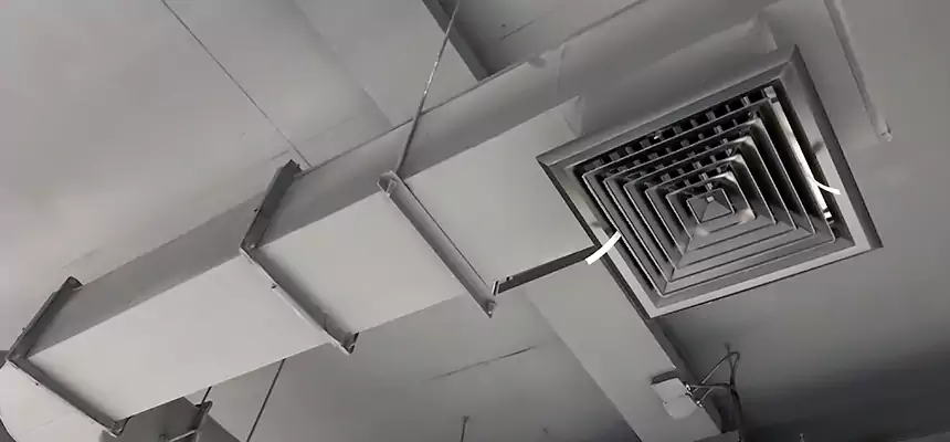 Our Pest Removal From Ducts Services in Mansfield, OH