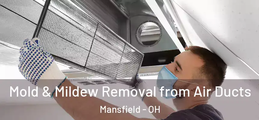  Mold & Mildew Removal from Air Ducts Mansfield - OH