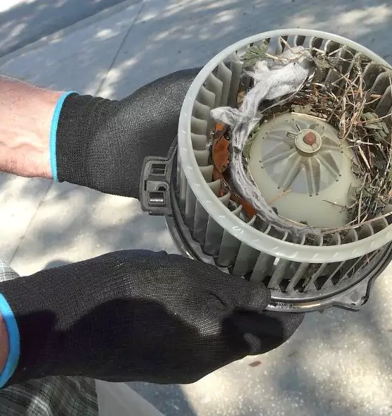 About Air Duct Mice Removal in Mansfield, OH